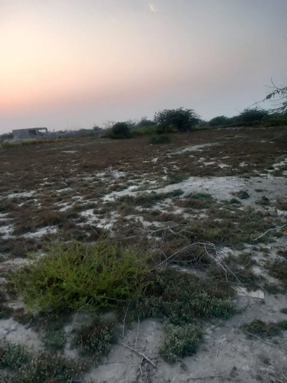 تصویر 2