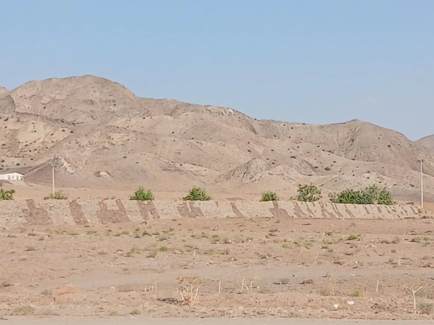 تصویر 6