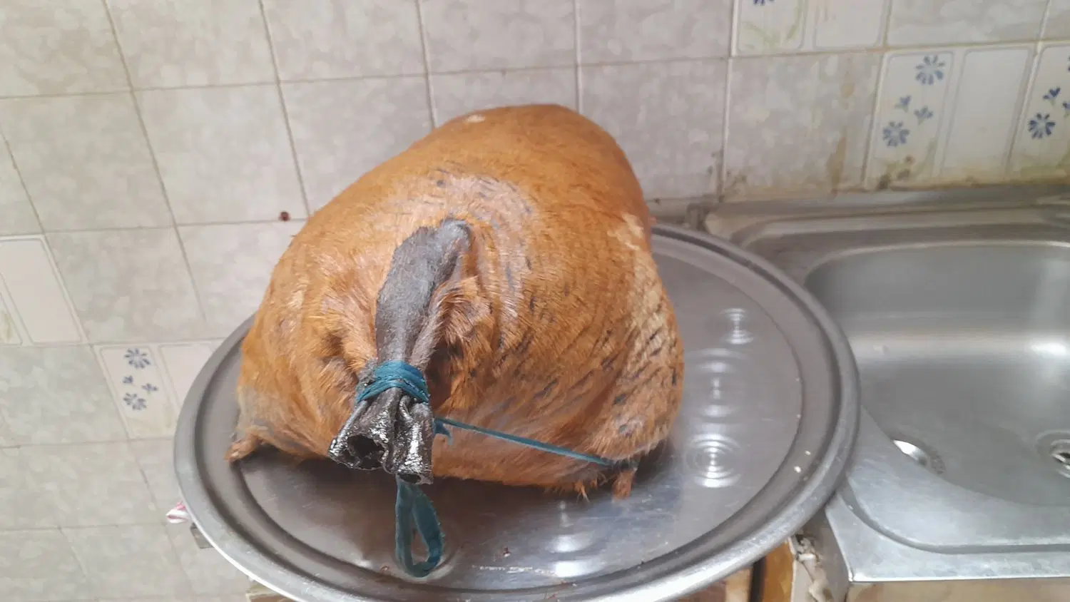 هیزه|خوردنی و آشامیدنی|کوهدشت, |دیوار