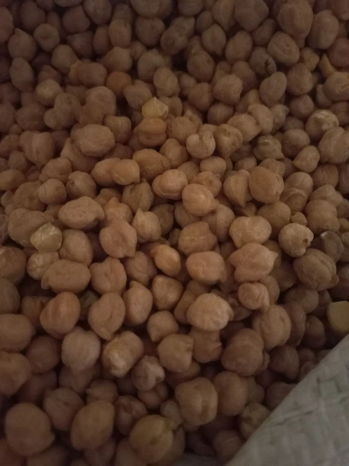 نخود|خوردنی و آشامیدنی|ایلام, |دیوار