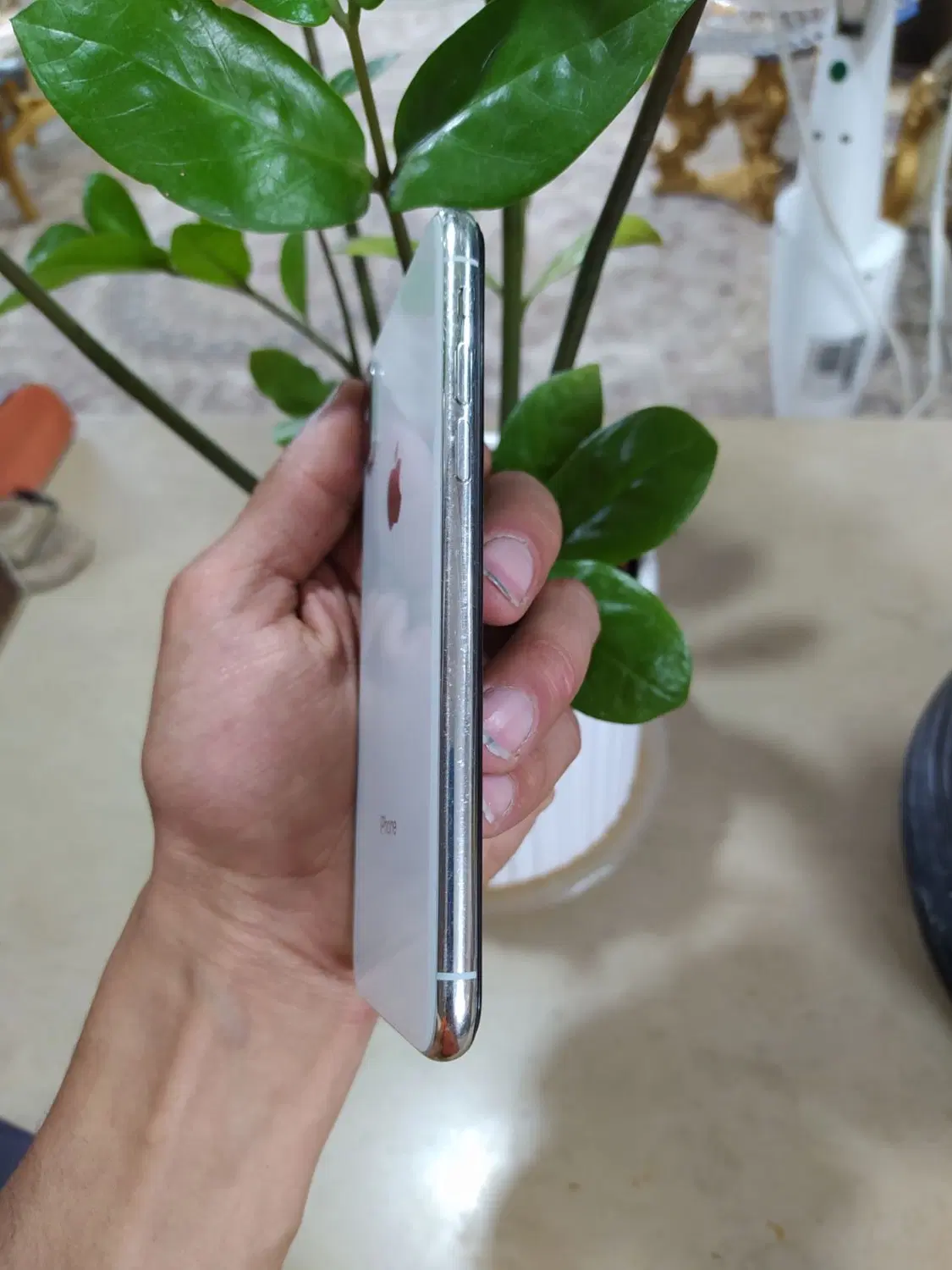 iPhone x|موبایل|شاهرود, |دیوار