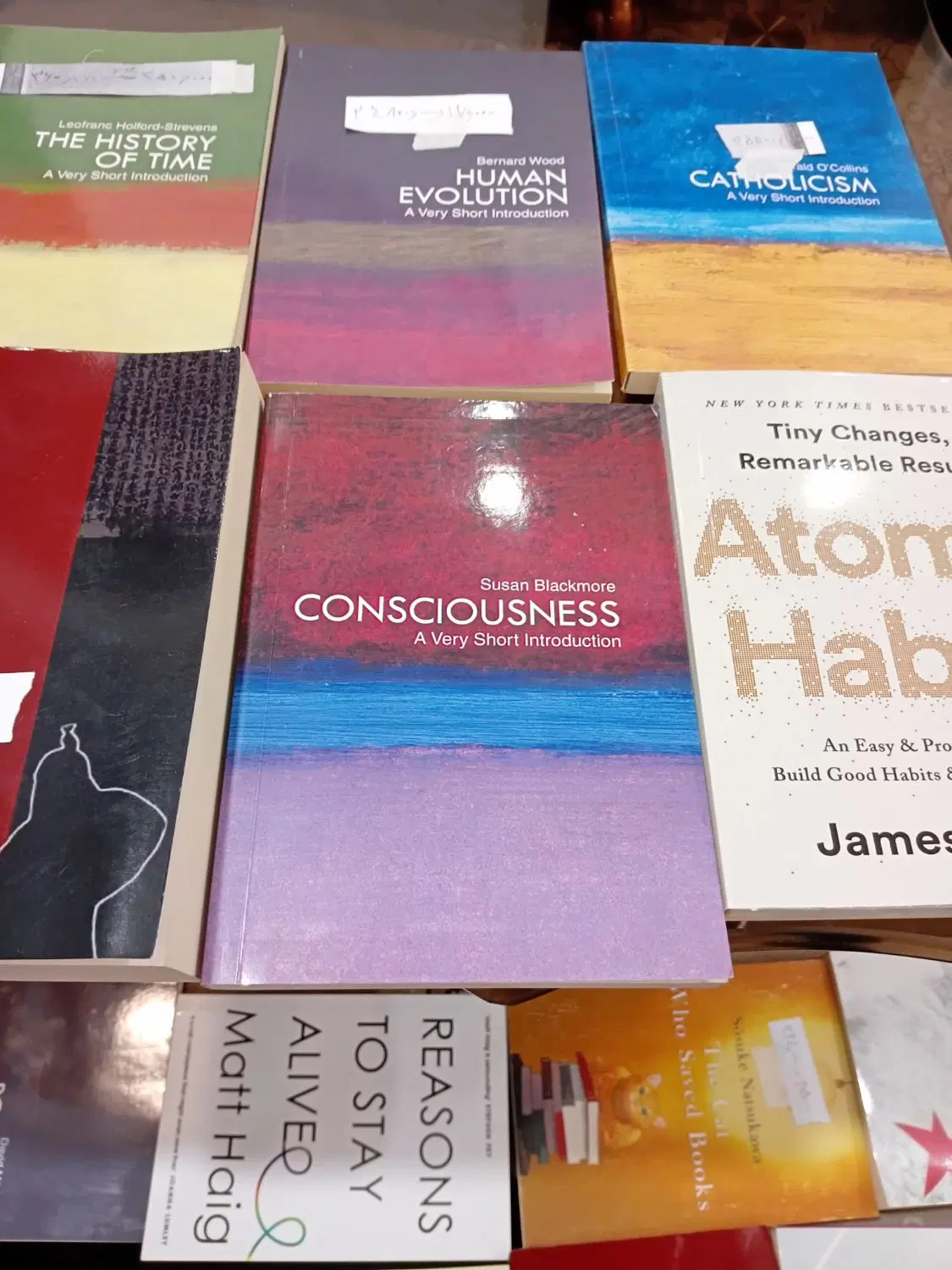 CONSCIOUSNESS|کتاب و مجله ادبی|نسیم‌شهر, |دیوار