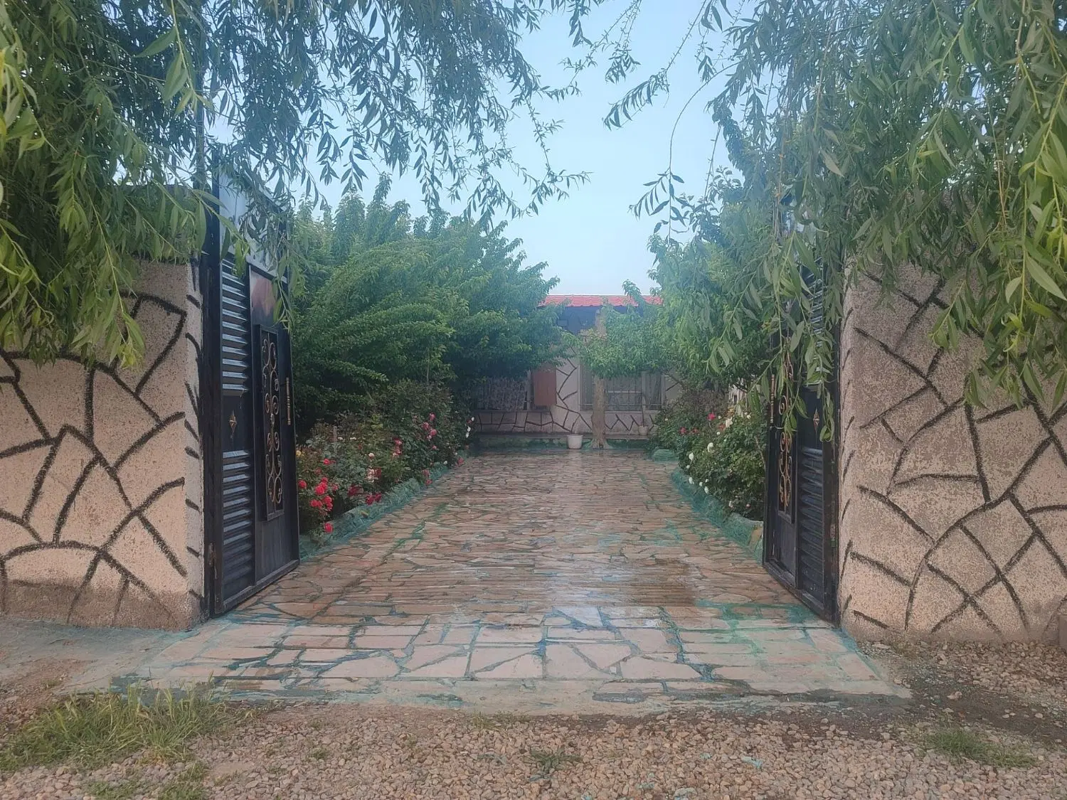 تصویر 9