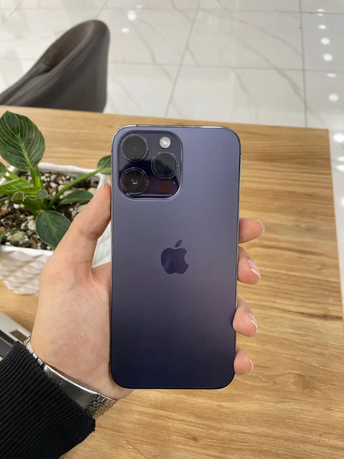 14promax|موبایل|شیراز, عفیفآباد|دیوار