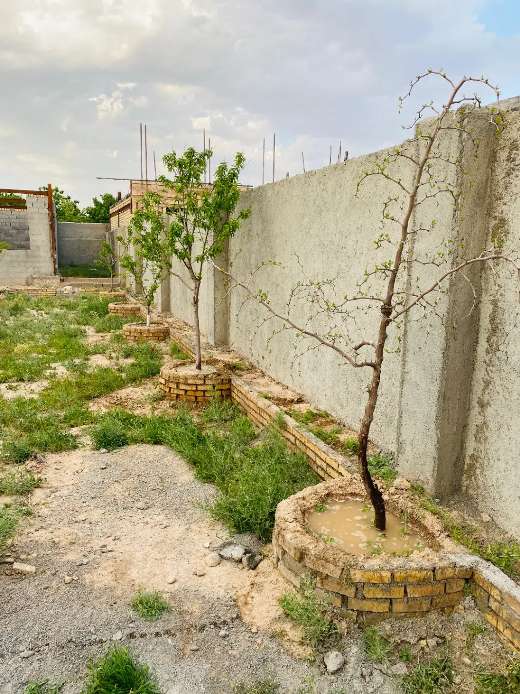 تصویر 5