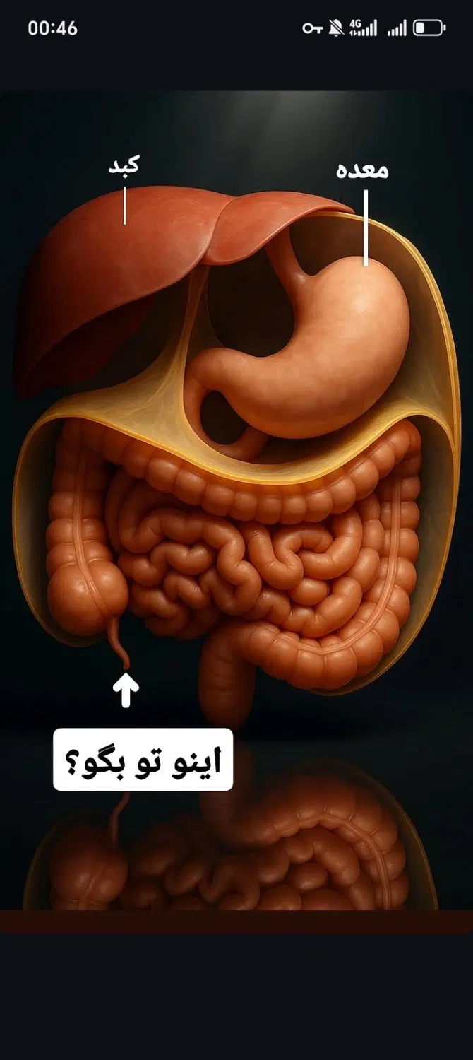 معلم|خدمات آموزشی|ایلام, |دیوار