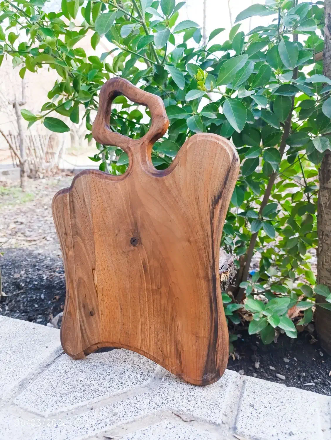 تخته گوشت چوبی|ظروف سرو و پذیرایی|شاندیز, |دیوار