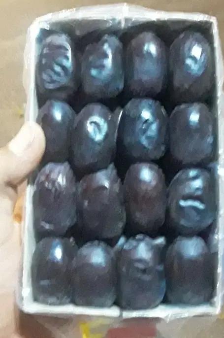 خرما|خوردنی و آشامیدنی|ایرانشهر, |دیوار