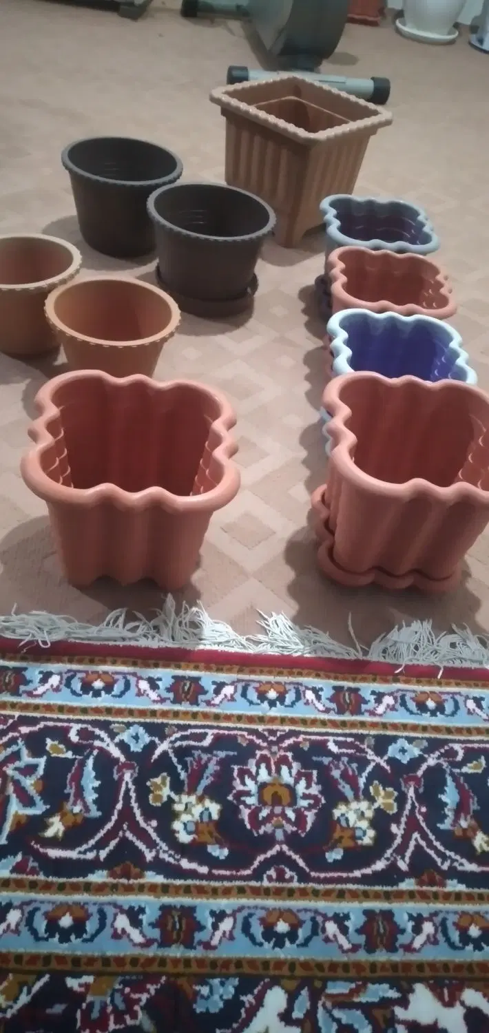 گلدان|گل و گیاه طبیعی|اردبیل, |دیوار