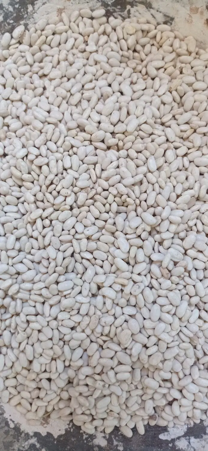 لوبیا|خوردنی و آشامیدنی|الشتر, |دیوار
