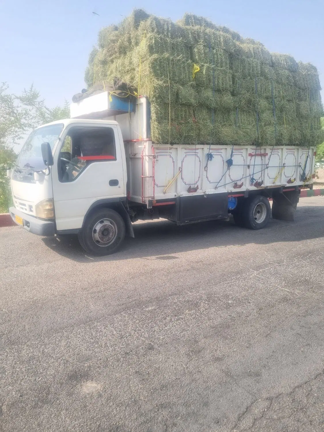 ایسزو|خودرو سنگین|رودبار (کرمان), |دیوار