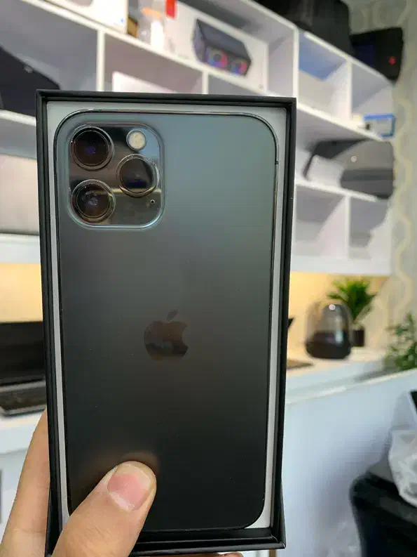 12 promax 256 zaa|موبایل|رشت, منظریه|دیوار