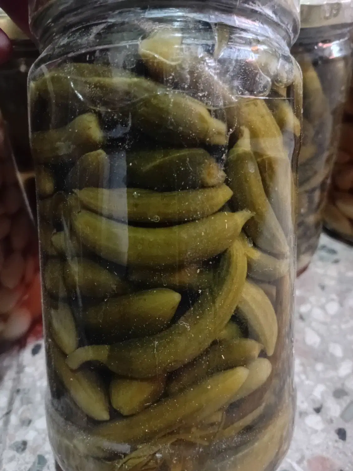 سیر|خوردنی و آشامیدنی|نیشابور, جمهوری|دیوار