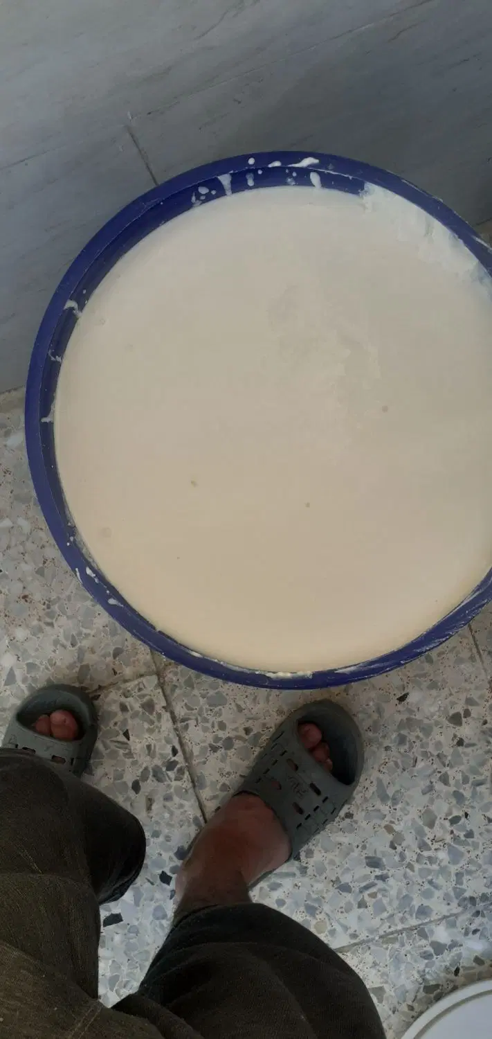 دوغ|خوردنی و آشامیدنی|بیلوار, |دیوار