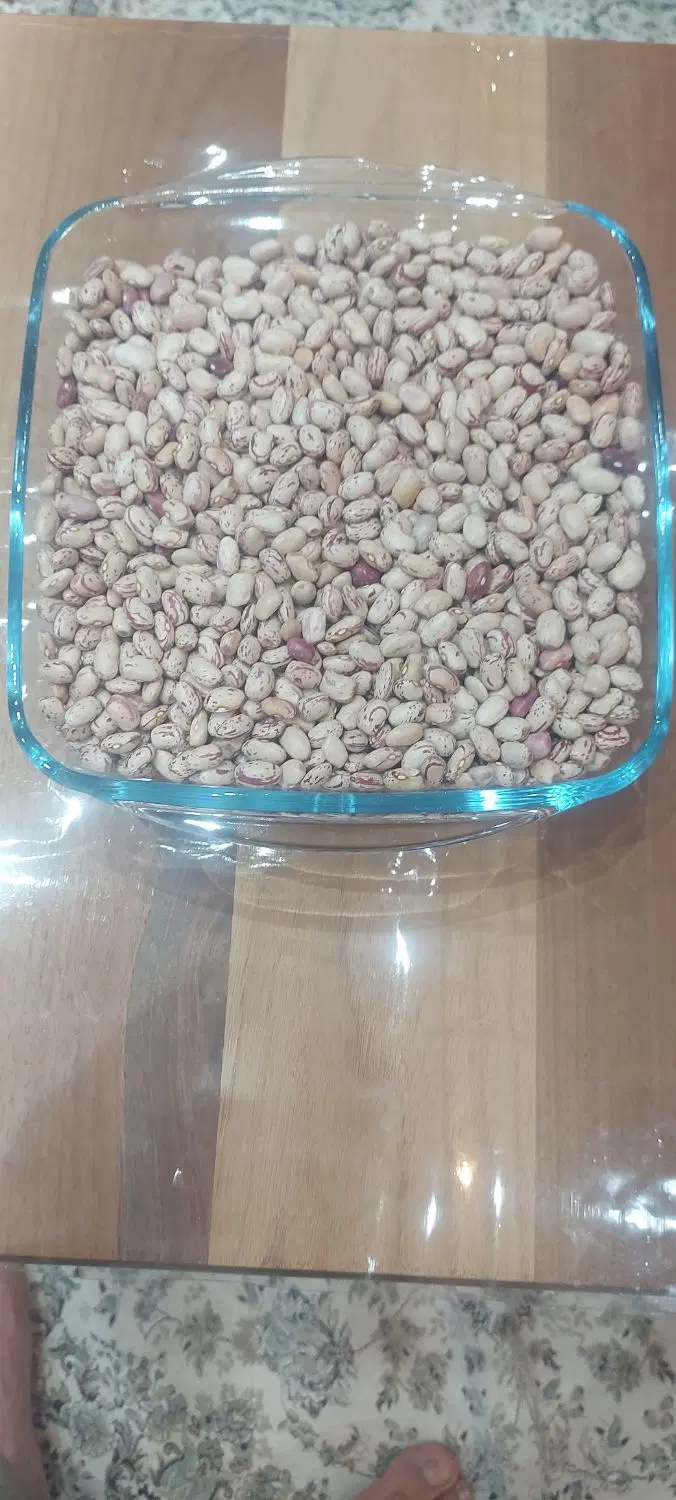 لوبیا چیتی|خوردنی و آشامیدنی|مریوان, |دیوار
