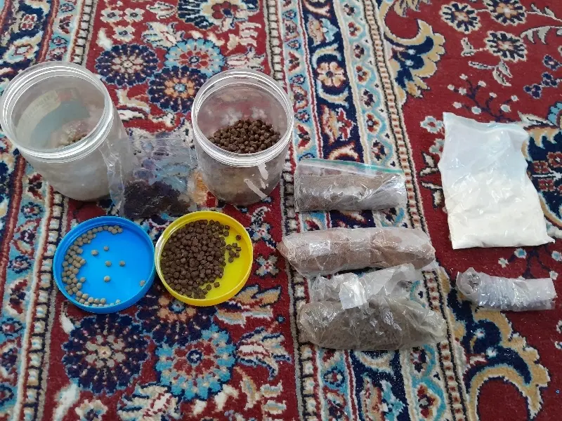 غذای ماهی|ماهی|سیرجان, |دیوار
