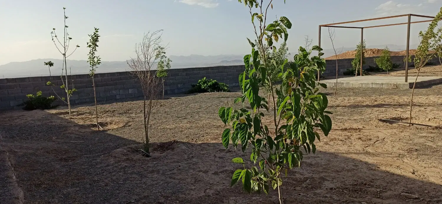 تصویر 9