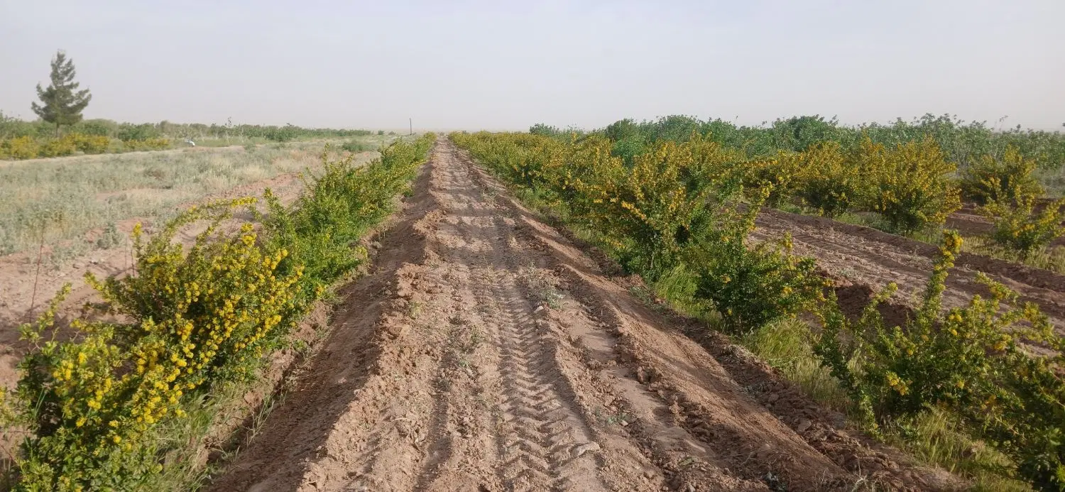 تصویر 3