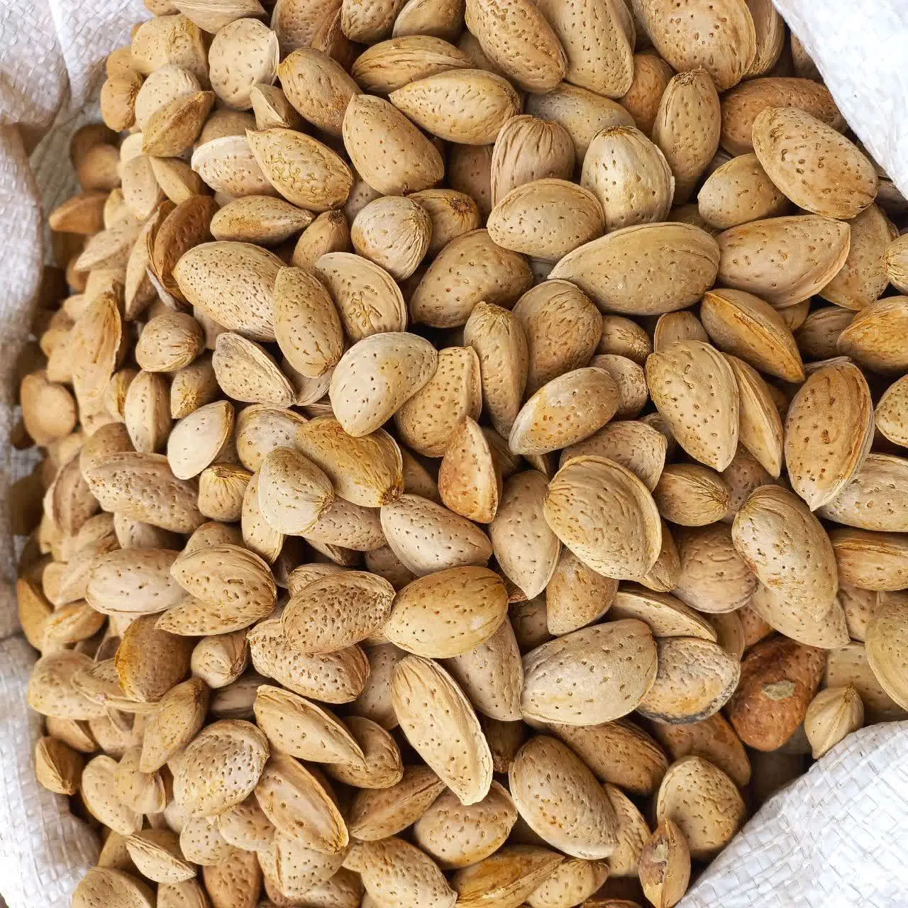 بادام|خوردنی و آشامیدنی|بن, |دیوار
