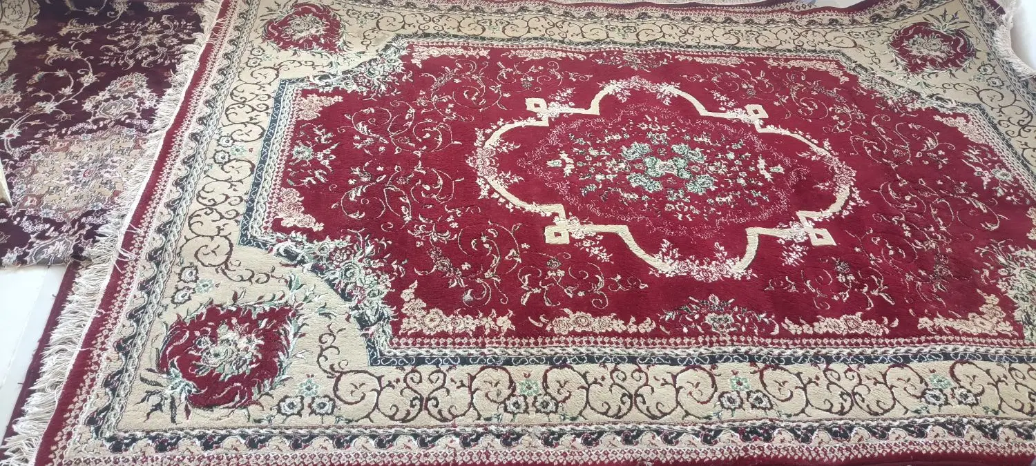 قالی|فرش|سیرجان, |دیوار