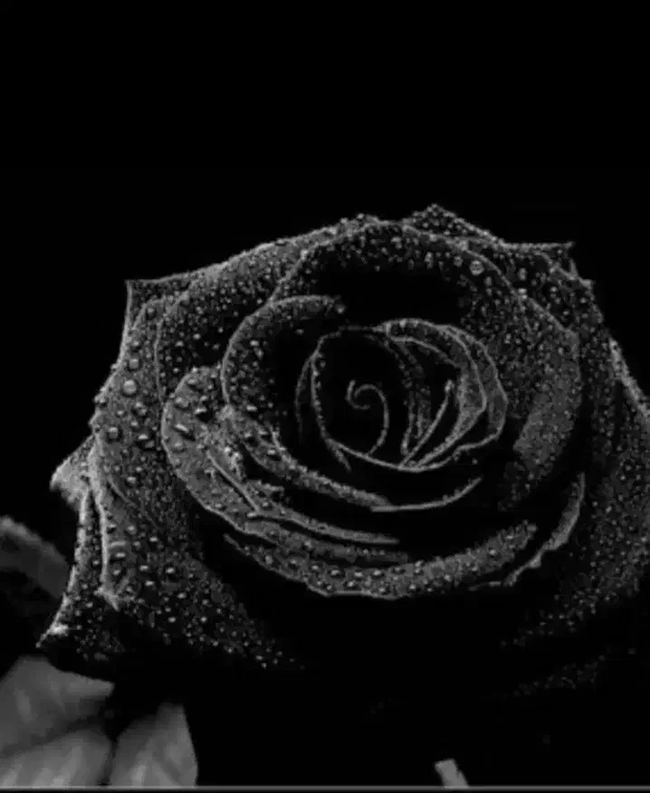 0935.539.5600|سیم‌کارت|اراک, |دیوار