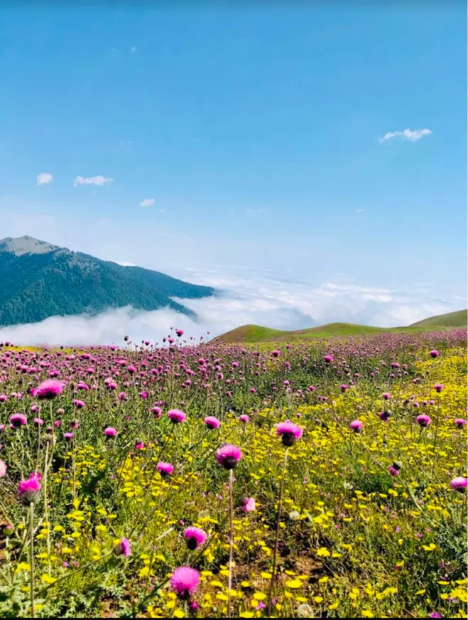 طبیعتگردی|تور و چارتر|کرج, چمران|دیوار