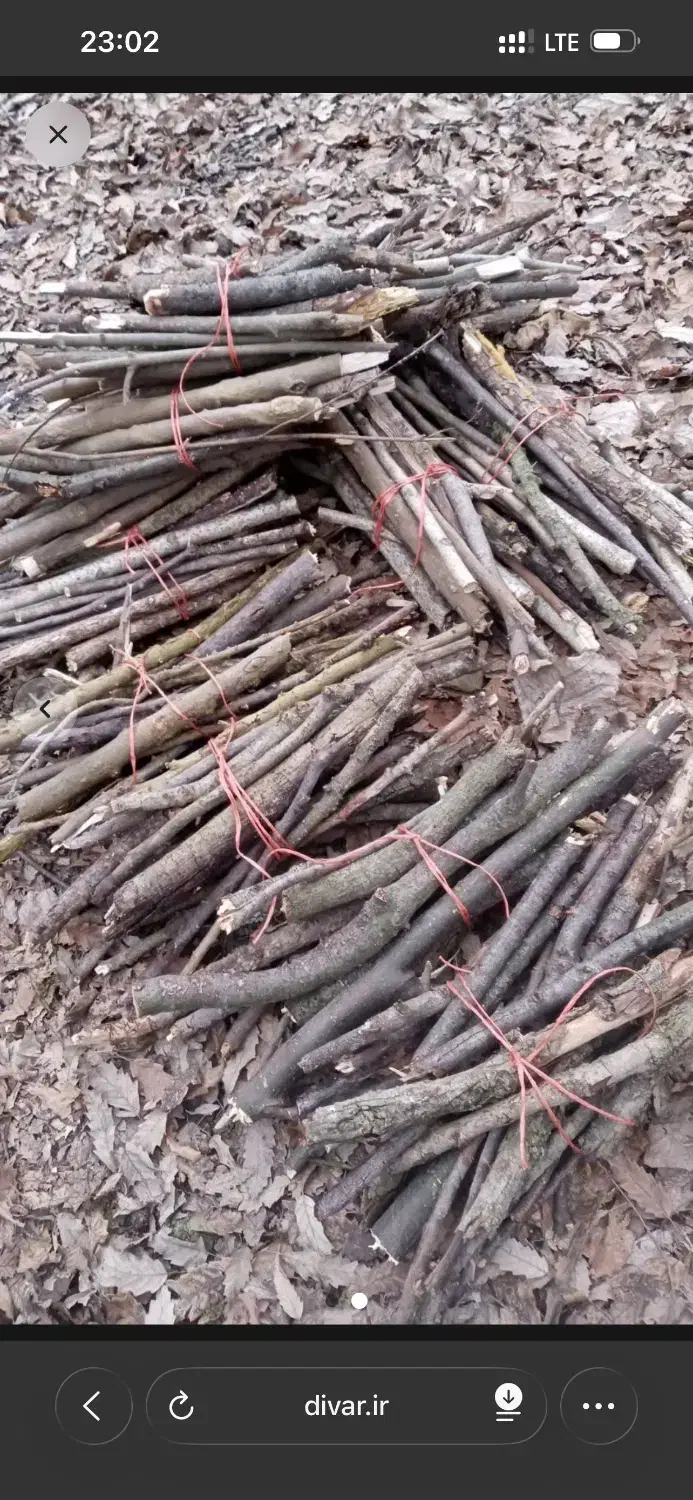 هیزوم|کوهنوردی و کمپینگ|رشت, دروازه لاکان|دیوار