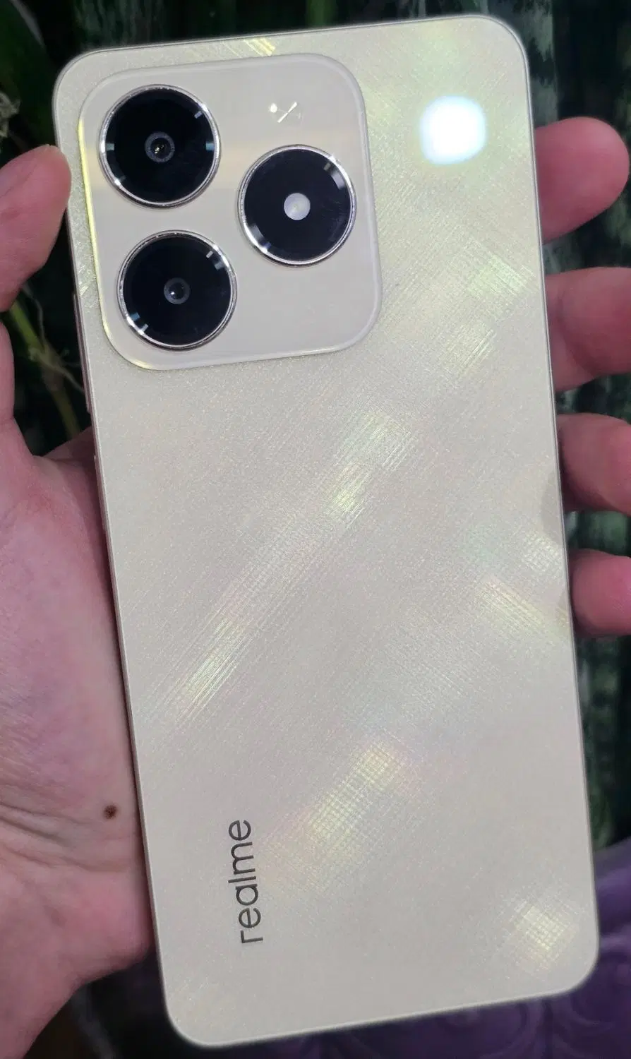 Realme c61|موبایل|ارژن, |دیوار