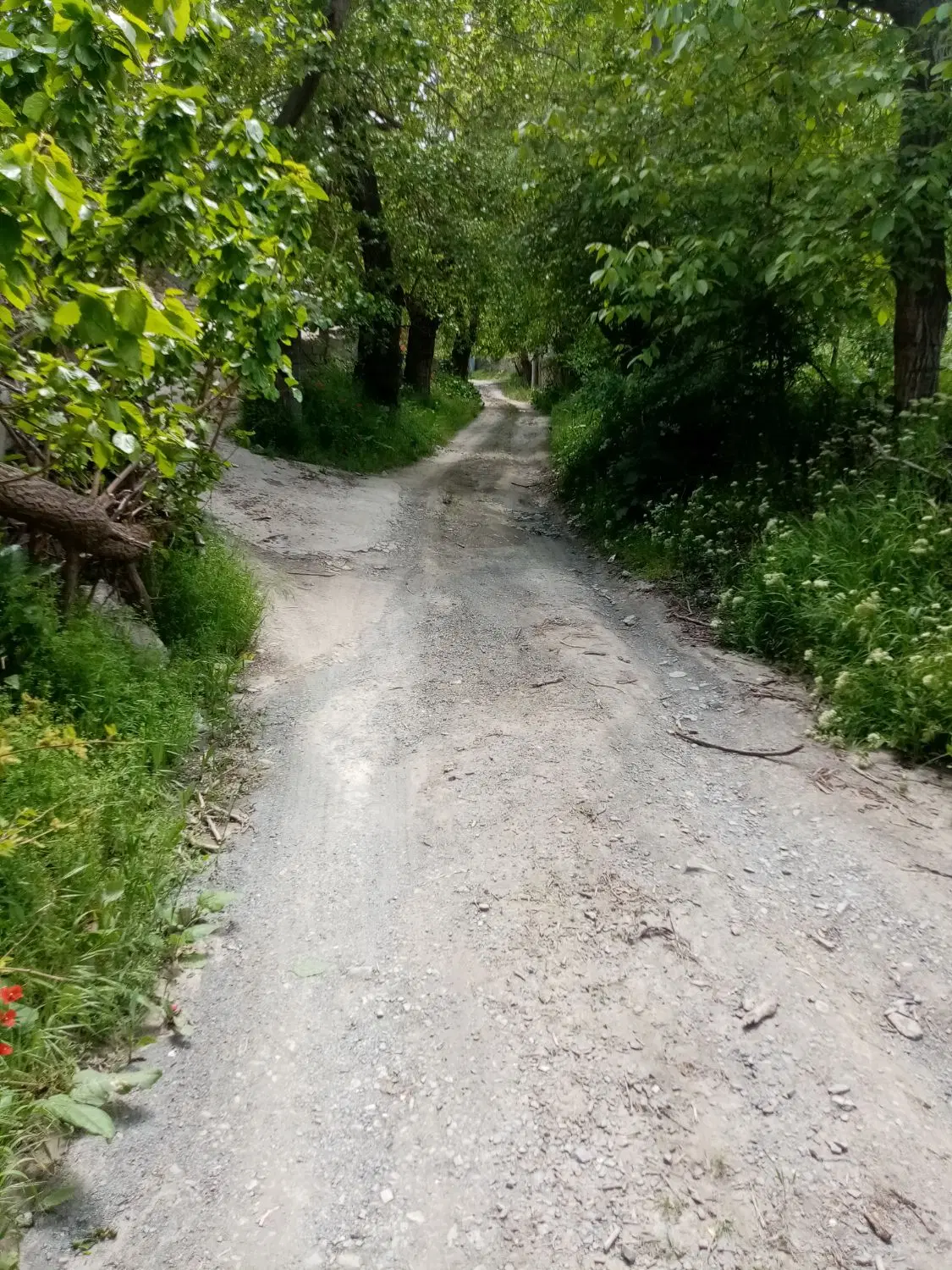 تصویر 8