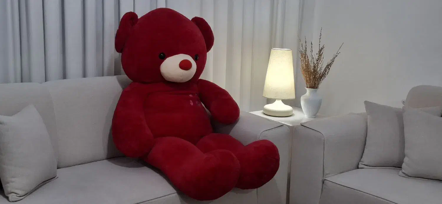 خرس|اسباببازی|شیراز, شاهجیان|دیوار