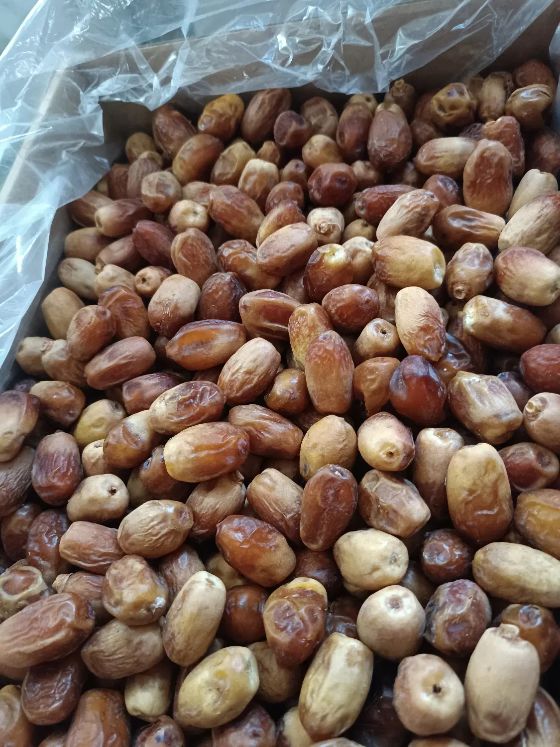 خرما|خوردنی و آشامیدنی|لنگرود, |دیوار