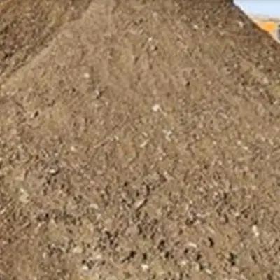 3153|خدمات باغبانی و درختکاری|کهنوج, |دیوار