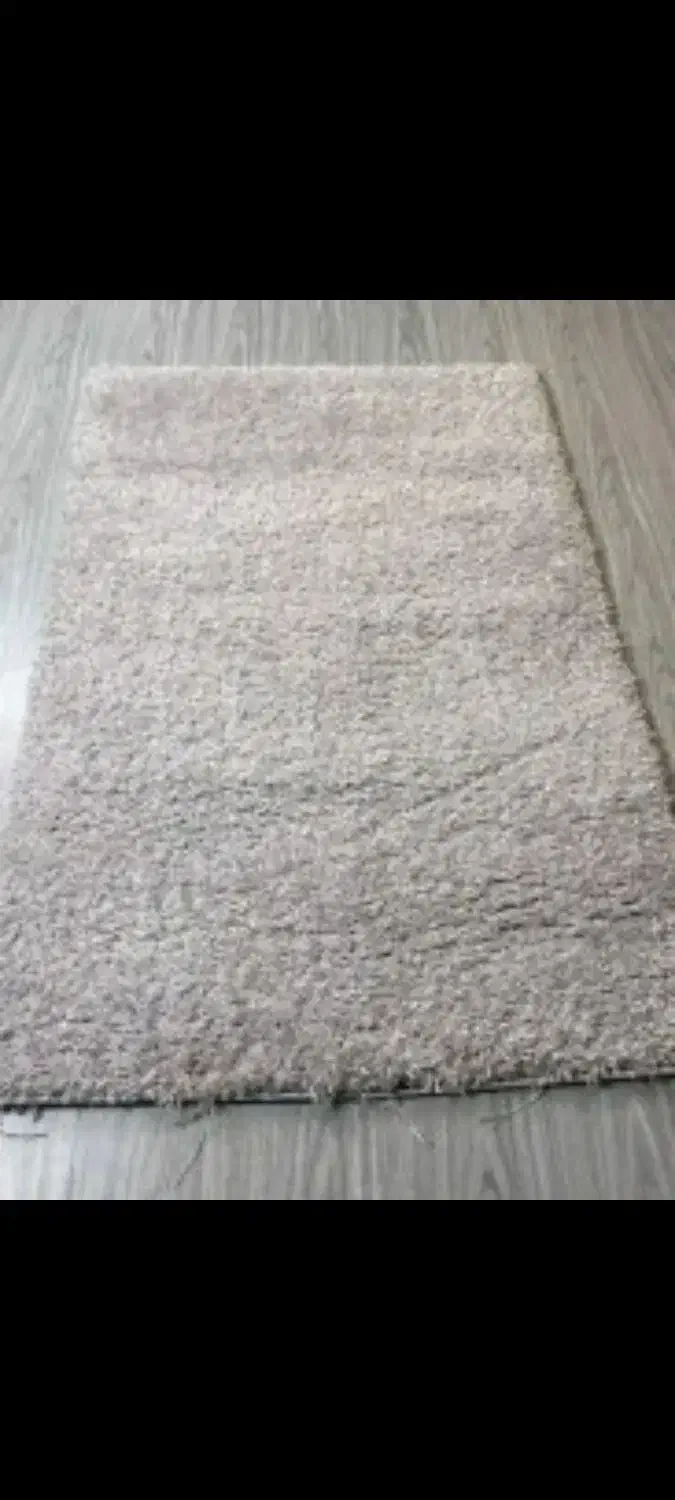 فرش شگی|فرش|امیرکلا, |دیوار