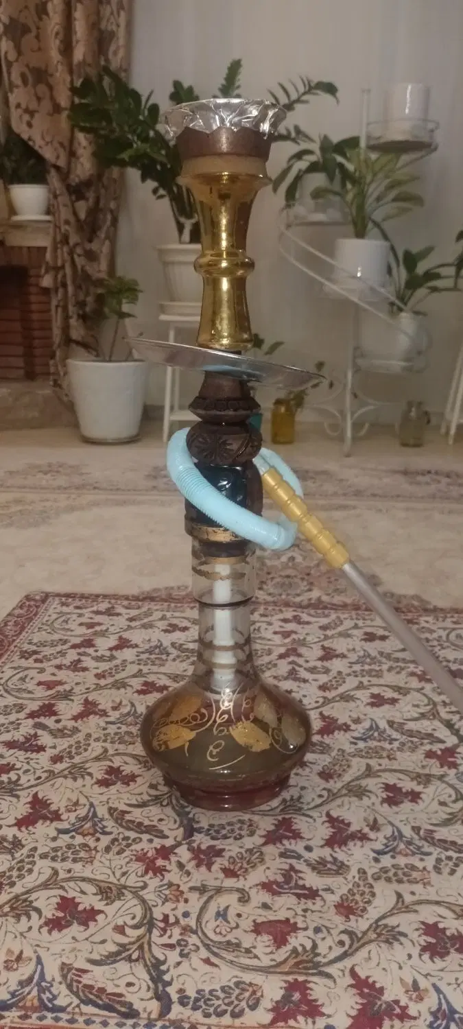 قلیون|کافیشاپ و رستوران|محمدشهر, محمدشهر|دیوار