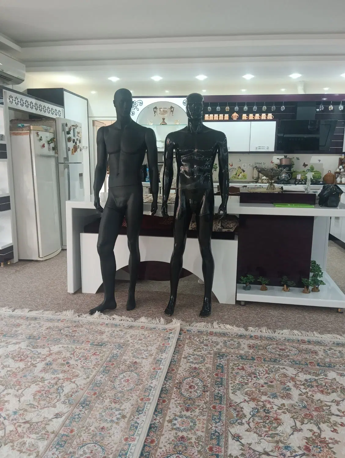 مانکن|مجسمه، تندیس، ماکت|بوشهر, |دیوار