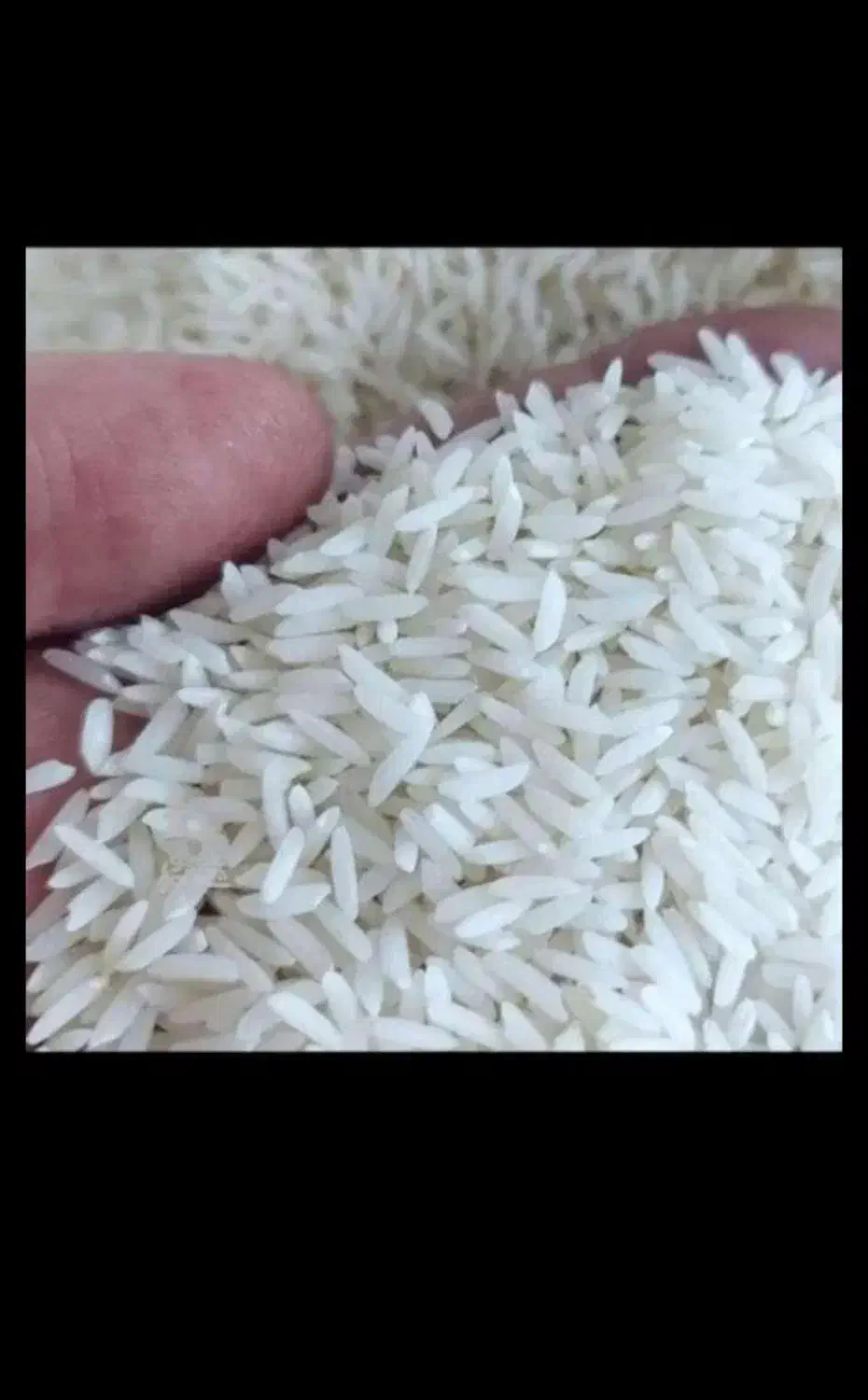 لاشه و نیم دانه و برنج طارم هاشمی|خوردنی و آشامیدنی|ساری, |دیوار