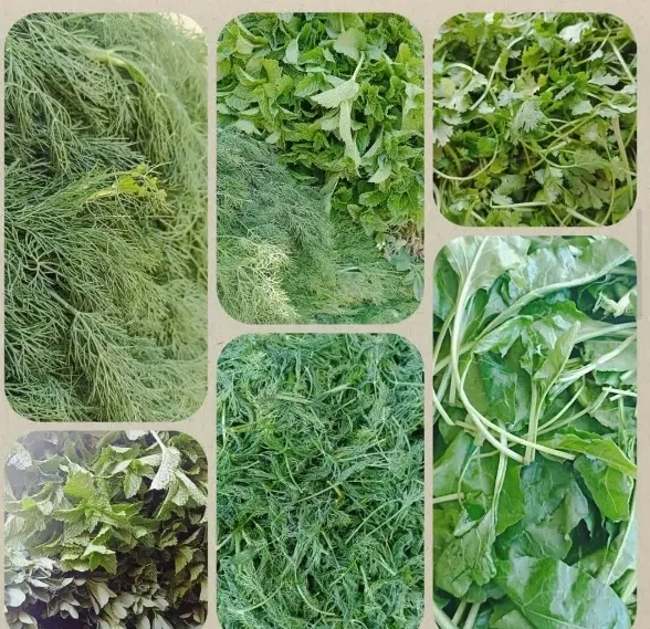 سبزی|خوردنی و آشامیدنی|رزن, |دیوار