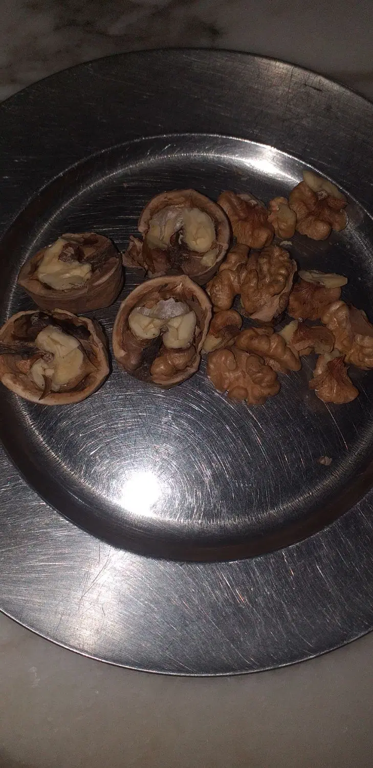 گردو|خوردنی و آشامیدنی|ملایر, |دیوار