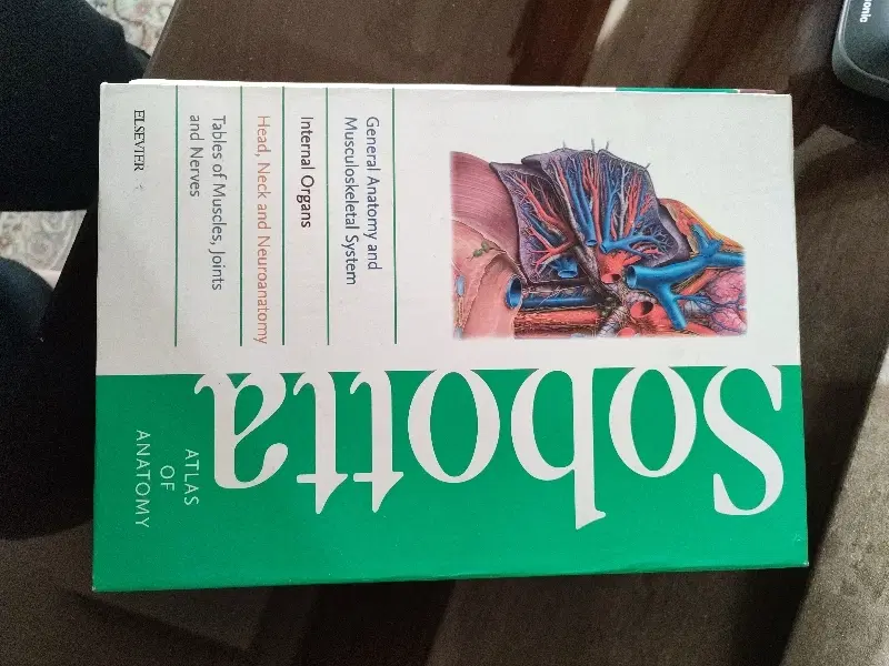 کتاب sobotta|کتاب و مجله آموزشی|اندیشه, اندیشه فاز ۴|دیوار
