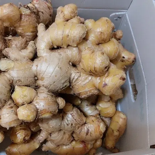 زنجبیل|خوردنی و آشامیدنی|کرمان, |دیوار