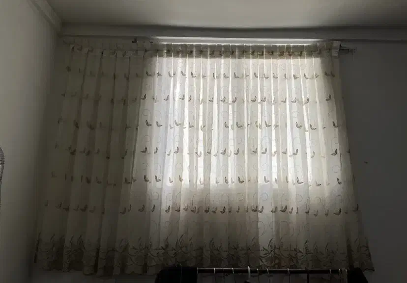 پرده|پرده، رانر، رومیزی|گرگان, |دیوار