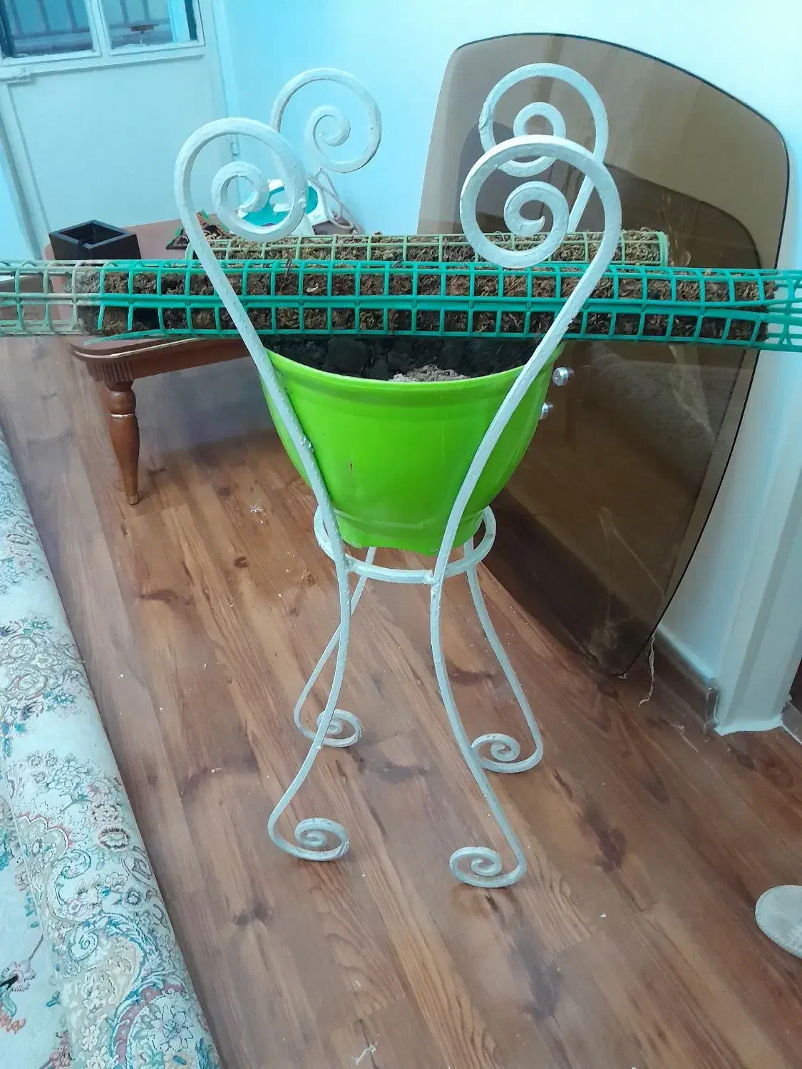 پایه گلدان|گل و گیاه طبیعی|کرج, چهارصد دستگاه|دیوار