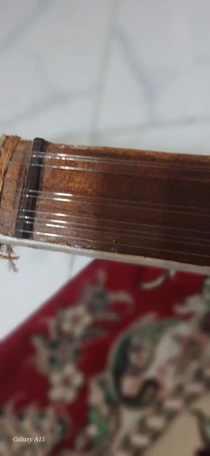 چگور|سازهای سنتی|بهارستان, |دیوار