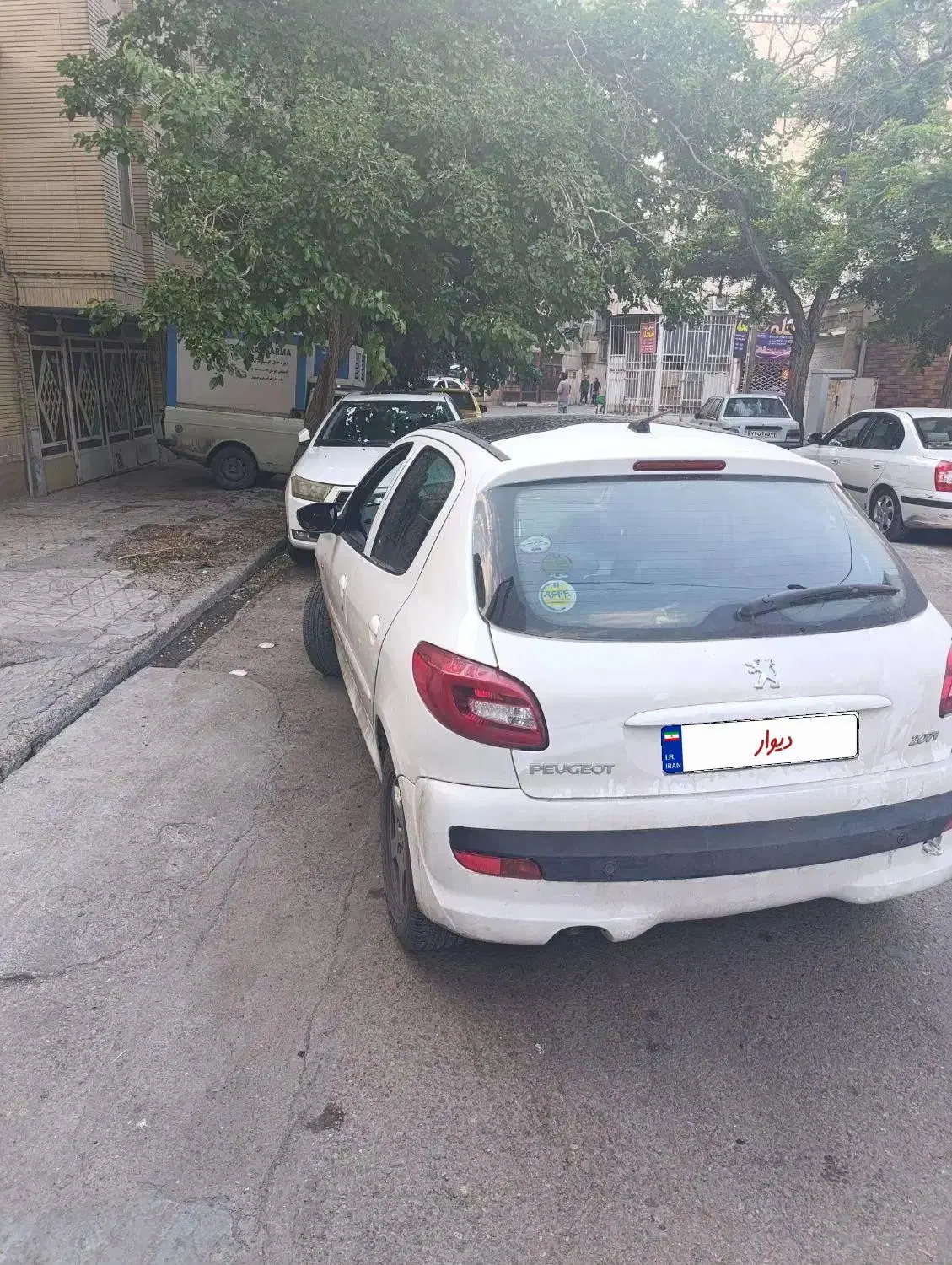 207 مدل 1401|خودرو سواری و وانت|مشهد, عبادی|دیوار