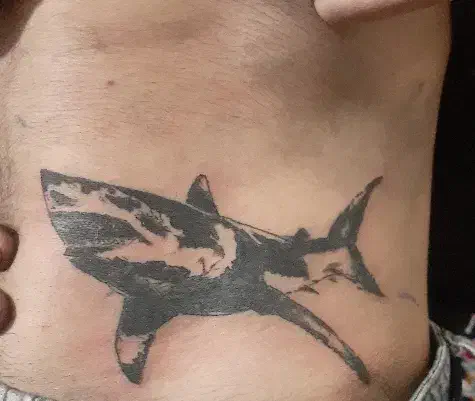 اجرای تتو بدن با بهترین متریال|خدمات آرایشگری و زیبایی|الیگودرز, |دیوار