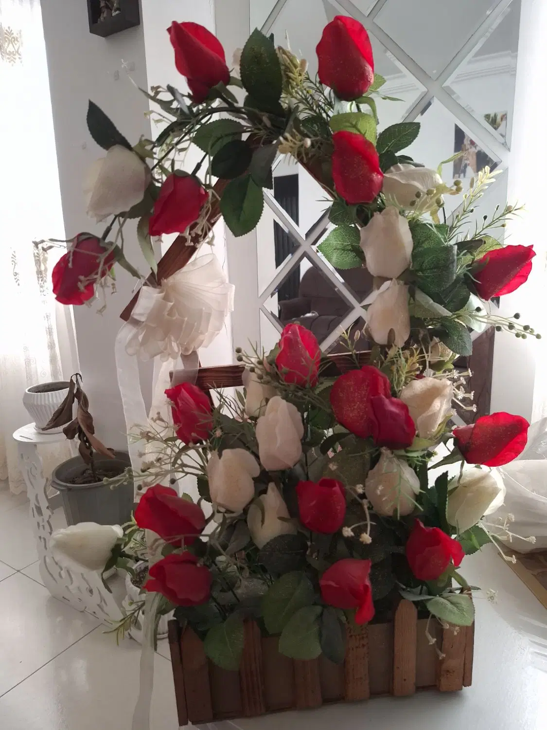 سبدگل|گل و گیاه طبیعی|رشت, پاره بیجار|دیوار