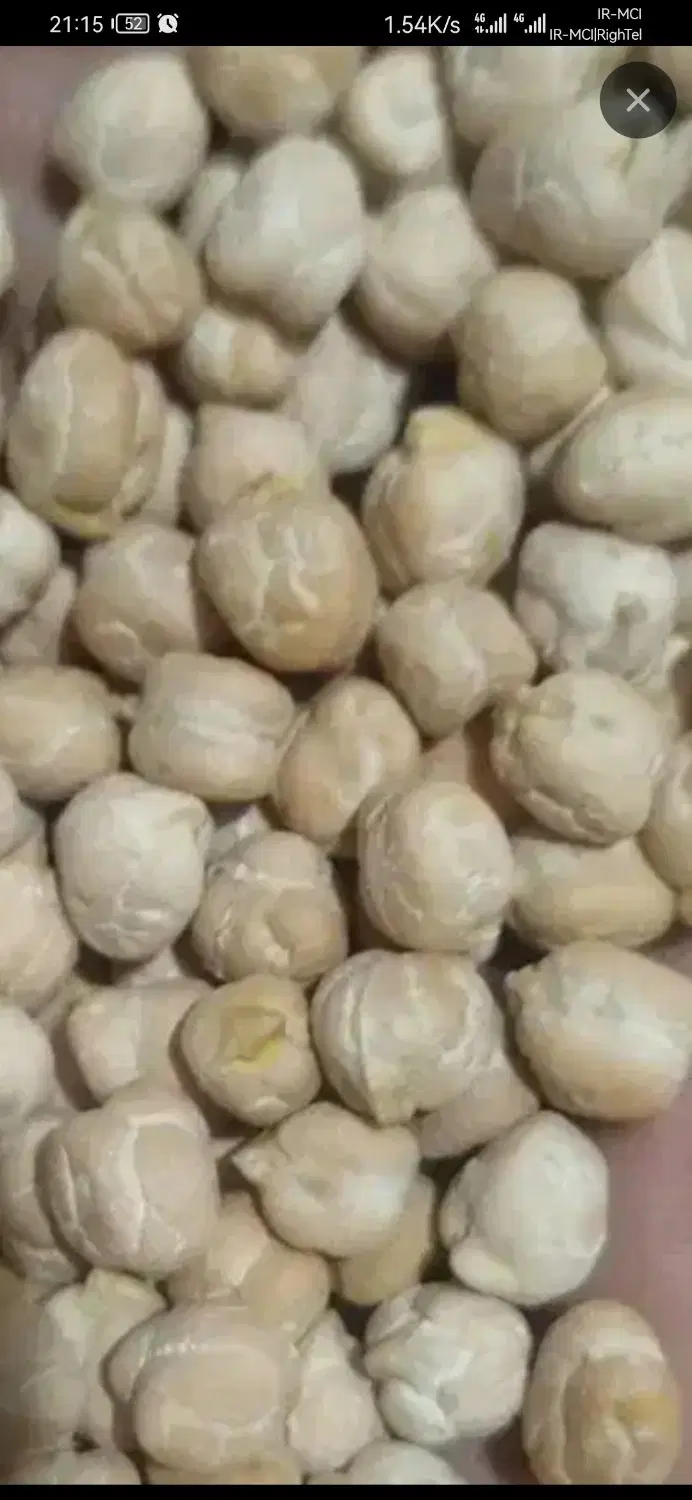 نخودسفید|خوردنی و آشامیدنی|چاراویماق, |دیوار