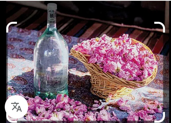 گلاب|خوردنی و آشامیدنی|مشهد, رستگار|دیوار