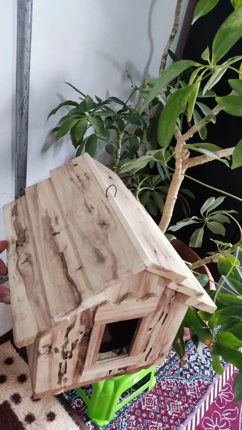 تزیینات|صنایع دستی و سایر لوازم تزئینی|ملکان, |دیوار