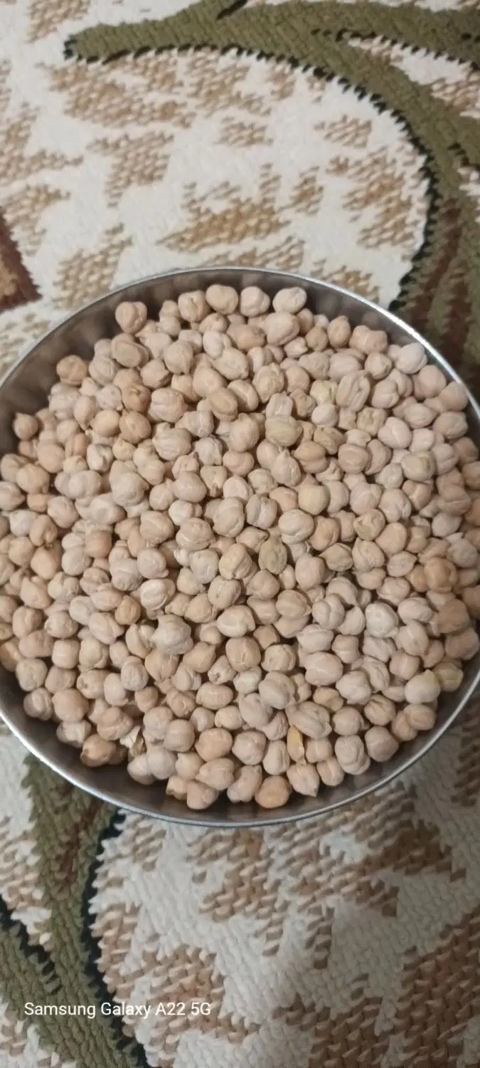 نخود|خوردنی و آشامیدنی|بندر ماهشهر, |دیوار